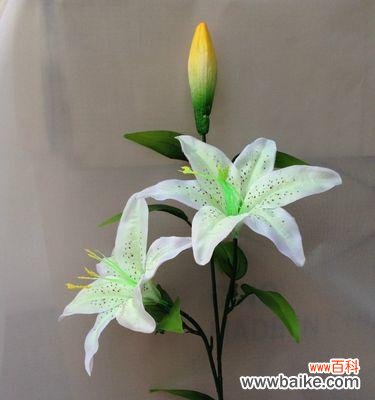 三头百合代表什么含义?如何正确理解三头百合的象征意义?