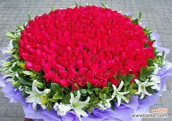 传递情感的花语 红玫瑰花的含义