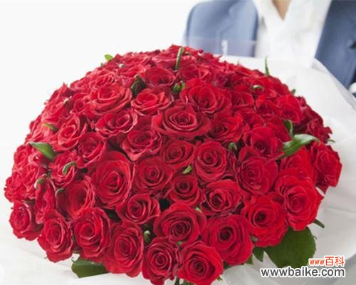 传递情感的花语 红玫瑰花的含义