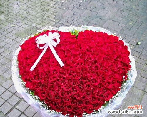 传递情感的花语 红玫瑰花的含义