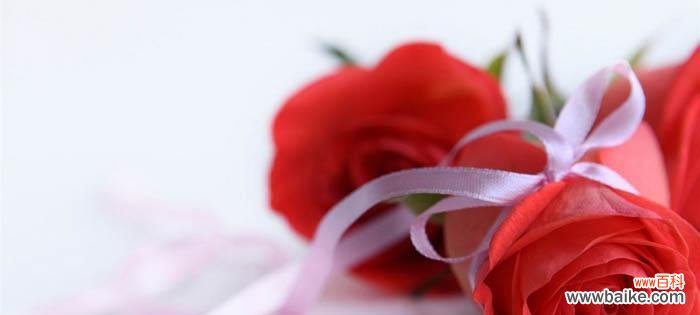 赏析花语,解读情感,感受花开的美好 浪漫与深情——玫瑰花语的寓意