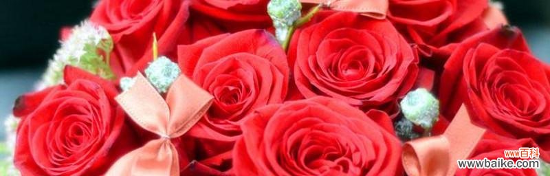 缘起传说与花语解读,感人故事与文学典故 红玫瑰花语与传说