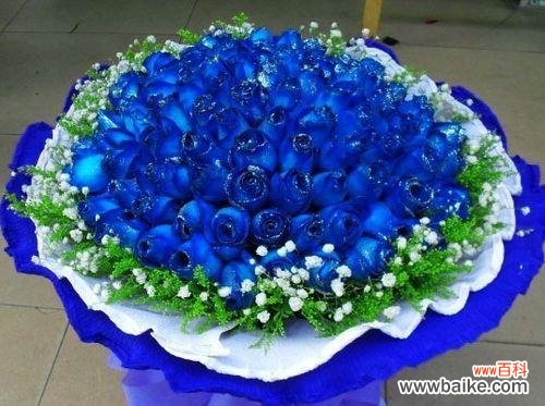 了解蓝色妖姬玫瑰花的意义，掌握生活中的应用 蓝色妖姬玫瑰花花语解析