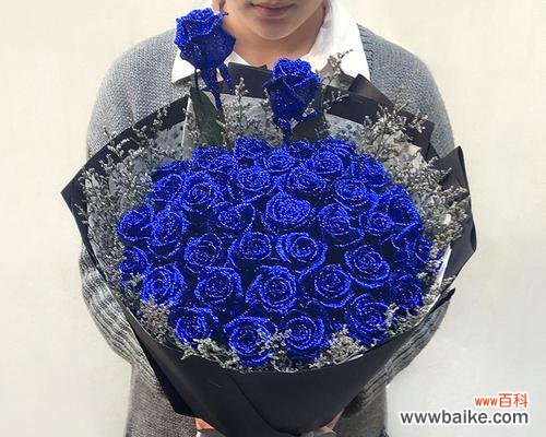 了解蓝色妖姬玫瑰花的意义，掌握生活中的应用 蓝色妖姬玫瑰花花语解析