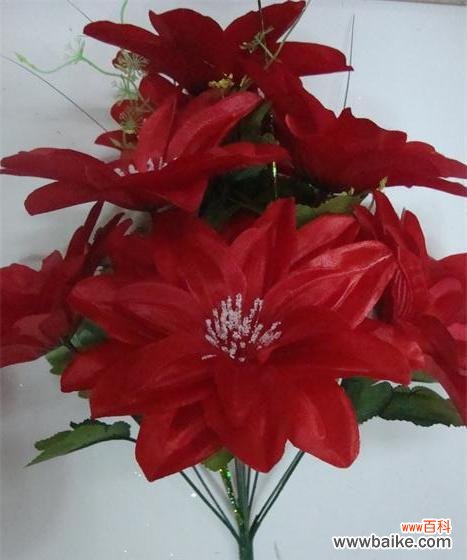 百合之芬芳 以百合花代表诚信——诚实守信的美丽象征