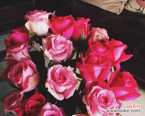 苏醒玫瑰花语是什么?如何表达爱意?