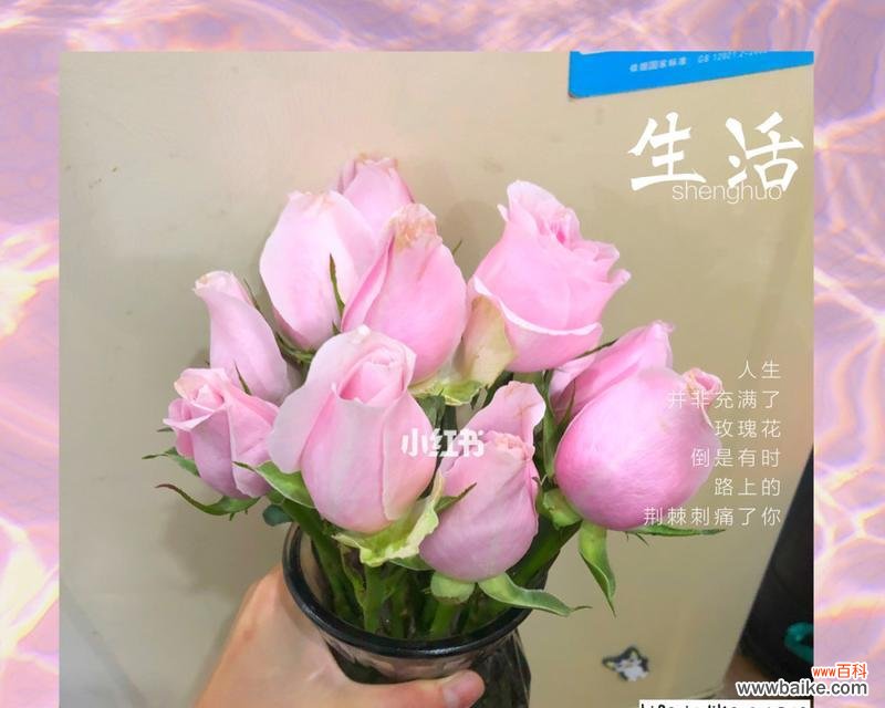 苏醒玫瑰花语是什么?如何表达爱意?