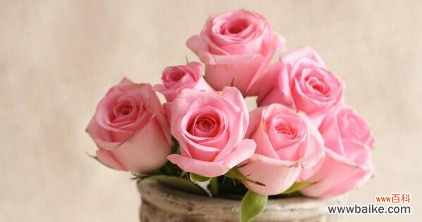 爱情、美丽、纯洁、激情、感恩、勇敢、友谊、祝福 探究玫瑰花的花语和象征的寓意