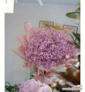 寓意浪漫，送给爱人、朋友、母亲？ 粉色满天星的花语