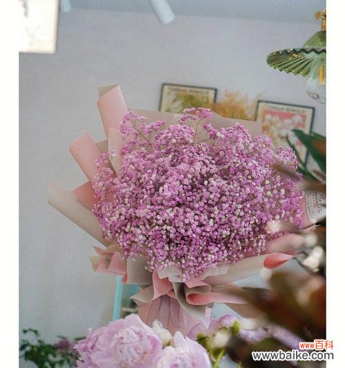 寓意浪漫，送给爱人、朋友、母亲？ 粉色满天星的花语