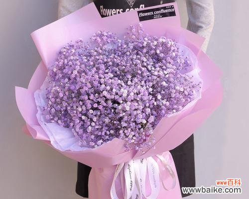 寓意浪漫，送给爱人、朋友、母亲？ 粉色满天星的花语