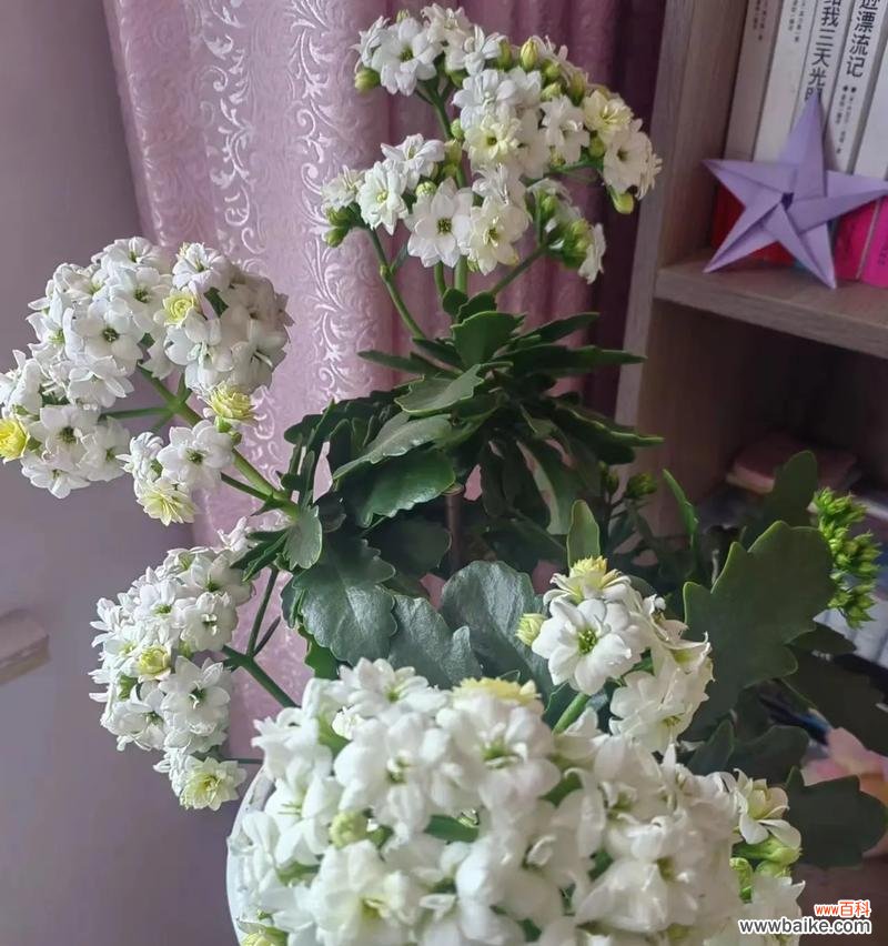 在每一个瞬间找到快乐的关键 以阳光葵花代表快乐