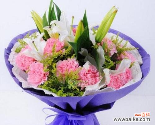 送康乃馨，传递感情之意 康乃馨花语代表的含义