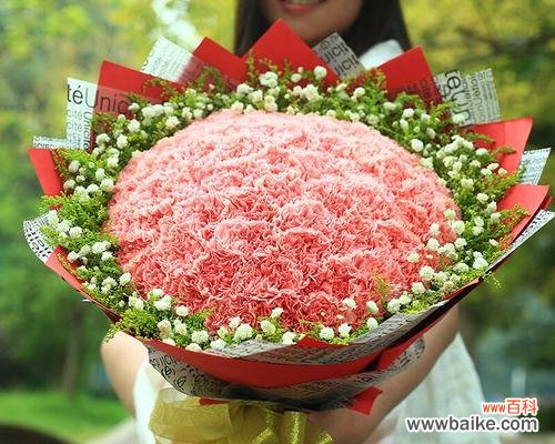 送康乃馨，传递感情之意 康乃馨花语代表的含义