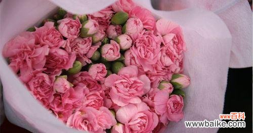 玫瑰象征套路是什么意思？