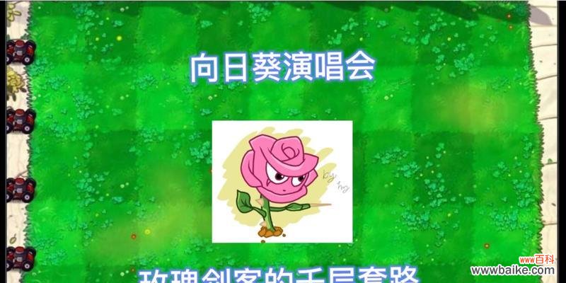 玫瑰象征套路是什么意思？