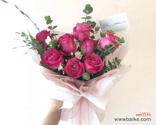 玫瑰象征套路是什么意思？