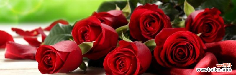 揭秘三朵玫瑰的神秘象征 三朵玫瑰花语的深刻含义