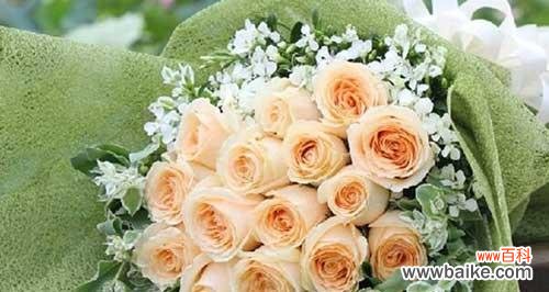 探究花语背后的寓意 香槟玫瑰花语的含义