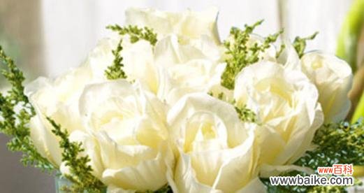 一段旖旎恋情的终结与追忆 花开时节心已死