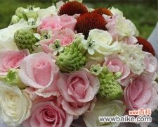 418朵玫瑰花的寓意是什么？这种数量的玫瑰花有何特别含义？