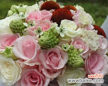 418朵玫瑰花的寓意是什么？这种数量的玫瑰花有何特别含义？