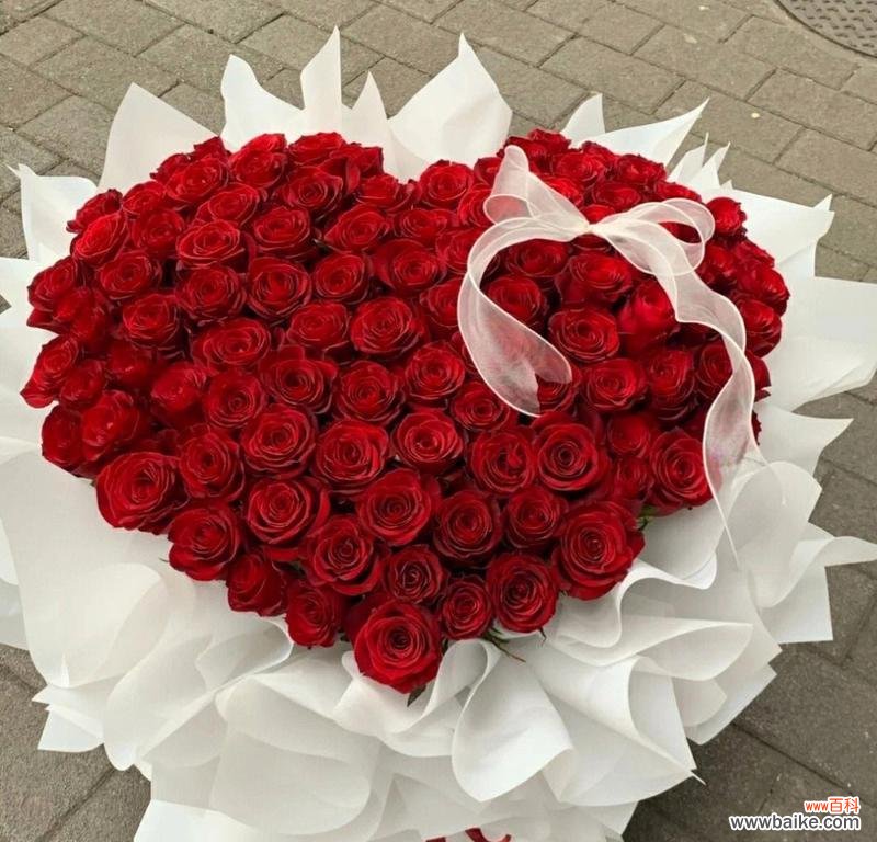 168朵玫瑰花代表什么意义？有相关图片吗？