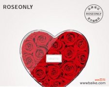 14支玫瑰代表的含义是什么？这有什么特别的含义吗？