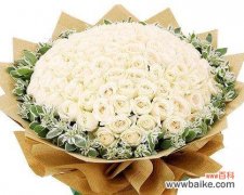 239朵玫瑰花代表什么？网络用语中的读法是什么？