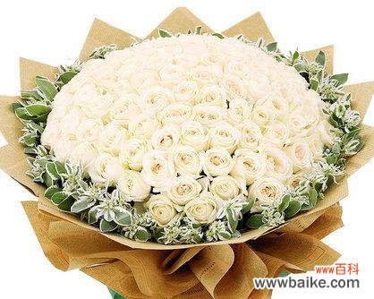 239朵玫瑰花代表什么？网络用语中的读法是什么？