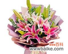 239朵玫瑰花代表什么？网络用语中的读法是什么？