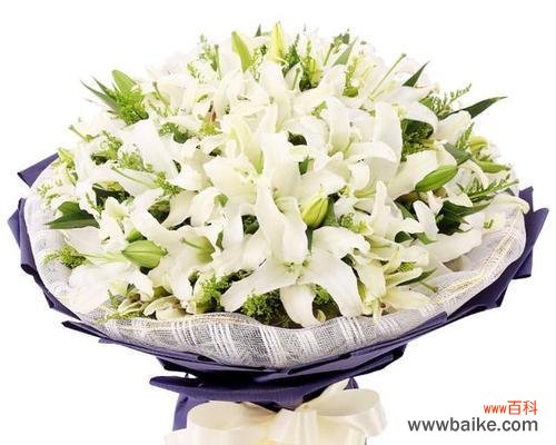 9支玫瑰搭配一个百合的花语是什么?