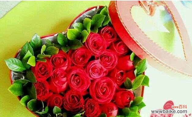 168朵玫瑰花的含义和英语读法是什么？