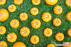 南瓜皮可以吃吗，怎么吃