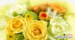 16朵玫瑰花的深层含义与表达方式 玫瑰花的寓意与情感表达