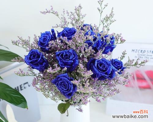 探究蓝玫瑰在不同文化中的象征意义 蓝玫瑰的含义