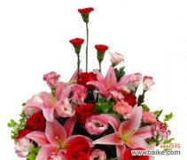 7枝玫瑰花代表什么含义？英语中如何发音？