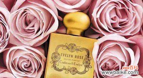 460朵玫瑰花表达什么意思英语？如何用英语表达？