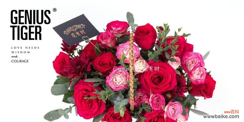 460朵玫瑰花表达什么意思英语？如何用英语表达？