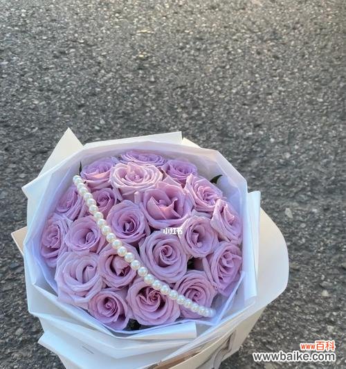 10朵紫色玫瑰代表哪个生肖？图片如何展示？