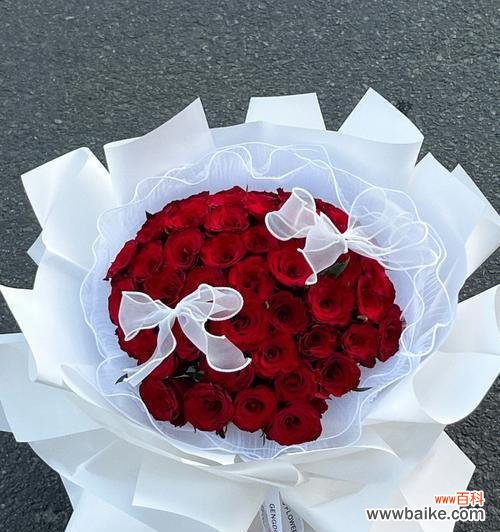 52朵玫瑰花的含义是什么?视频中如何展示?