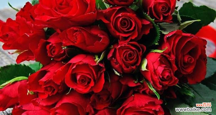 213朵玫瑰花的含义是什么？