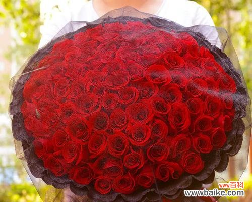 媳妇生日送玫瑰花束多少朵合适？有推荐图片吗？