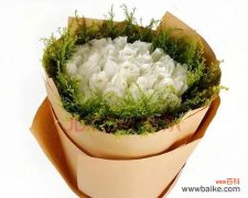 20朵粉玫瑰的含义是什么？视频能否详细解释？