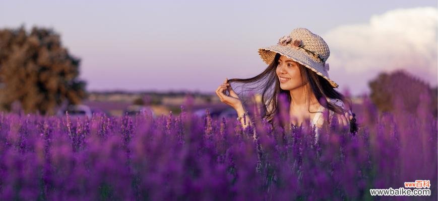 探秘紫色薰衣草的神秘世界，了解其深刻寓意 紫色薰衣草的花语与寓意