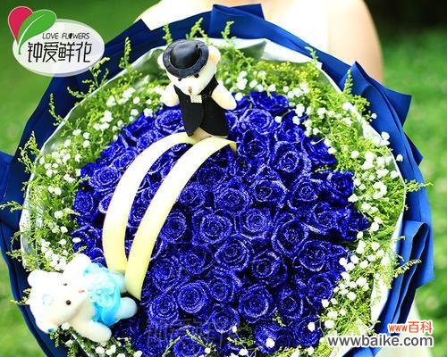 探寻蓝玫瑰在生活中的秘密 十一朵蓝玫瑰的寓意及象征意义