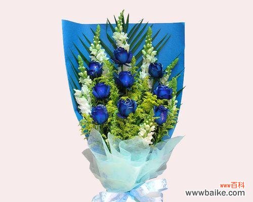 探寻蓝玫瑰在生活中的秘密 十一朵蓝玫瑰的寓意及象征意义