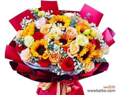 八朵红玫瑰花代表什么？如何正确发音？