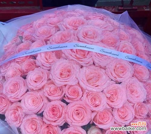 送728朵玫瑰花代表什么?图片如何表达?