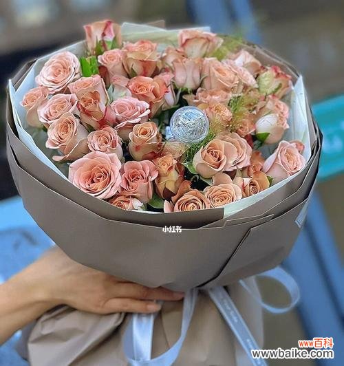 26朵玫瑰花的含义是什么？它通常用来表达什么情感？